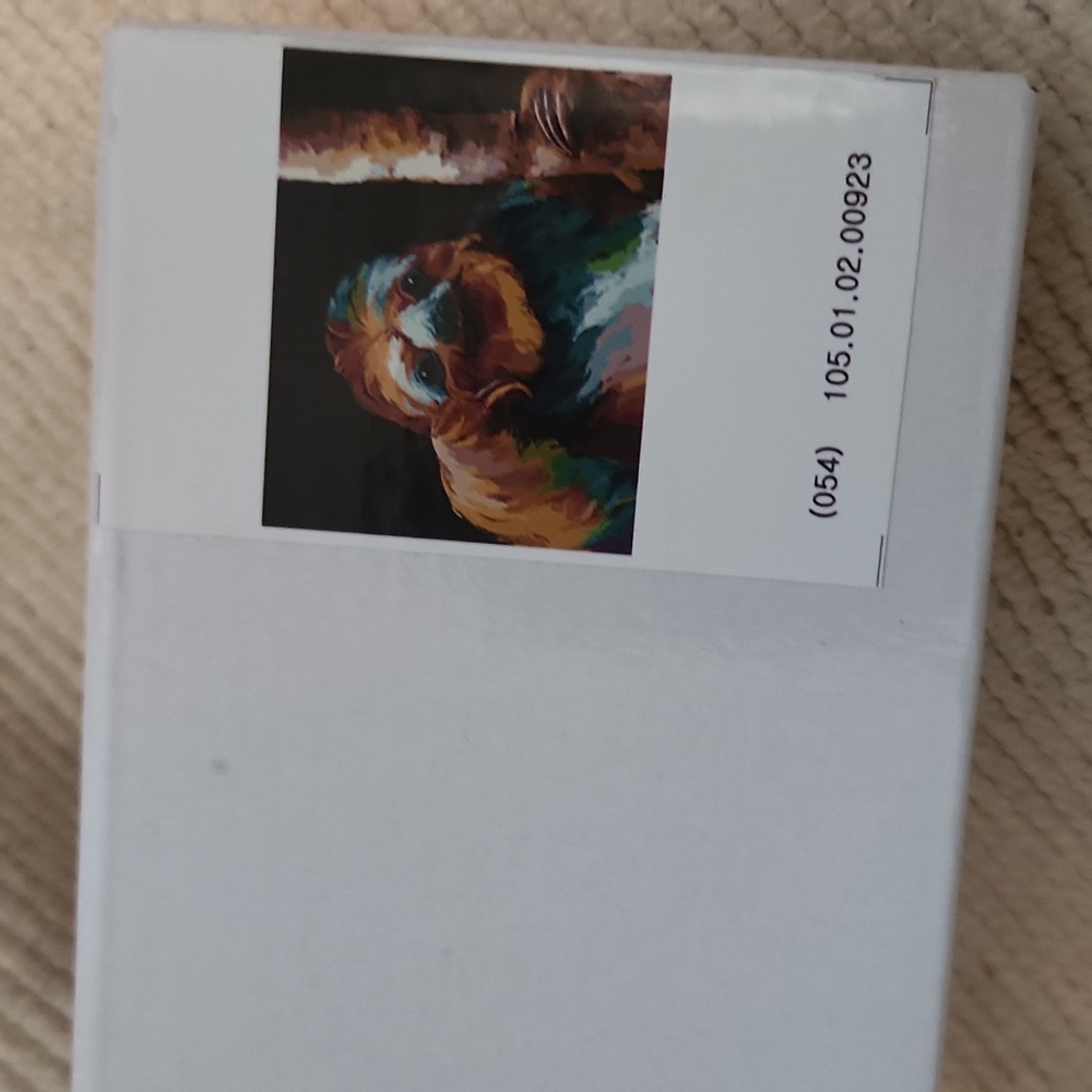 Paint by number Sloth